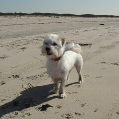 Even mooi poseren...