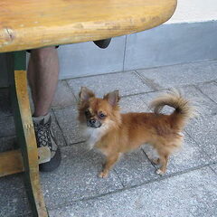 Danger op het balkon