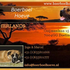 Onder de naam Boerboel Hoeve zijn wij in het oosten des…
