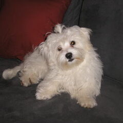 sammy 6 maanden
