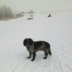 In de winterse kou (nog even niet) vind ik het heerlijk…