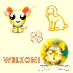 welkom!