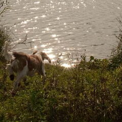 JEUH! WATER! (6mnd)