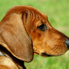 en dit is jason!