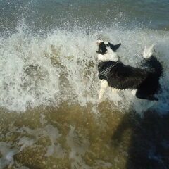 Oh, die is toch iets te groot