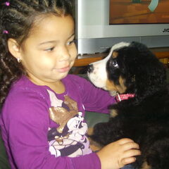 dit is myn kleindochter met onze berner van negen weekm oud…