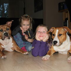 Mijn nichtjes laten de honden geen moment met rust en…
