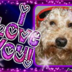 binky is de beste!