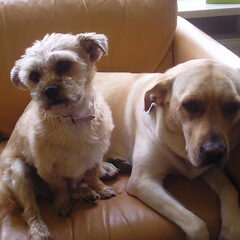 op de bank samen liggen
