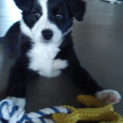 haha luna !