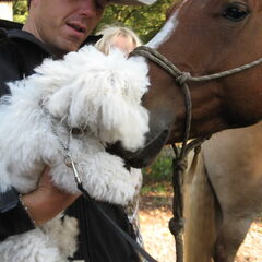 heerlijk in het bos en vriendjes maken met een paard.