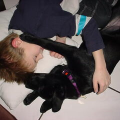 ahh wat lief he dikke maatjes die samen slapen