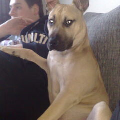 chille