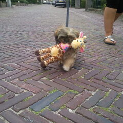 naar de kermis geweest
