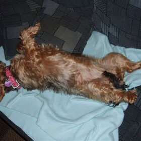 relaxen!!!!