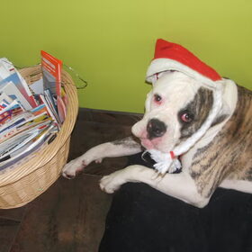 kerst