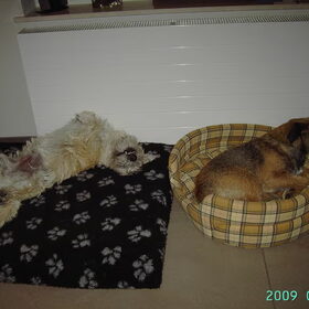 lekker relaxen na een speelpartij :-))