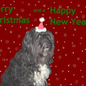 Merry Xmas and a Happy New Year