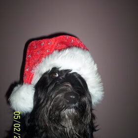 SantaClaus is een deugniet! :)