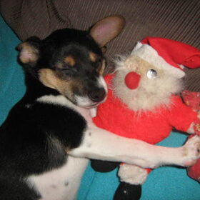 skay en kerstman