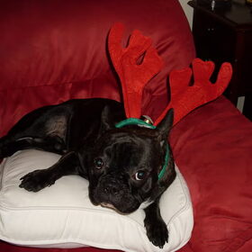 kerst