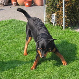 Spelen!