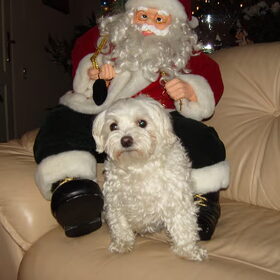 bij de kerstman