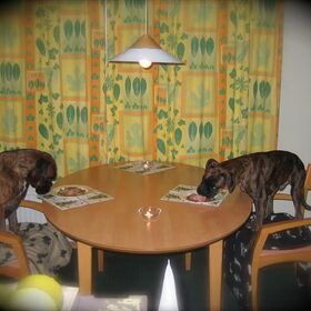 een echt kerstdiner!!!!