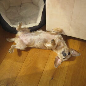Zeer comfortabele houding, not!