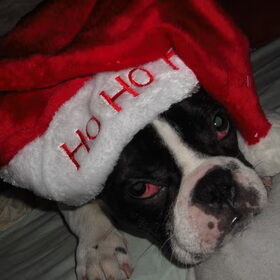Mn kerstmannetje