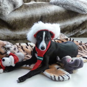 mijn eerste kerst!
