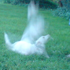 it's a gost.....ieieieieiei
