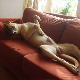 Tayco in de chill-mood