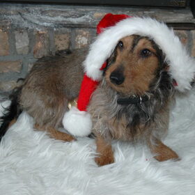 Kerstmannetje Teun