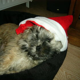 Cash met kerst