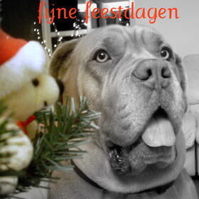 fijne feestdagen van chicca