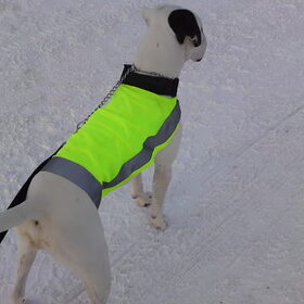 Diesel!
