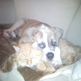 Tony met onze kat Tommy