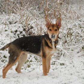 Bram is stoer en 5 maanden oud!