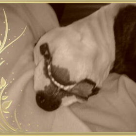 schattig toch :-)