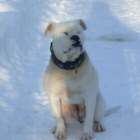 Ohh wat wit allemaal die sneeuw!!!