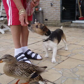 Rakker eet samen met onze Katrien een stukje brood