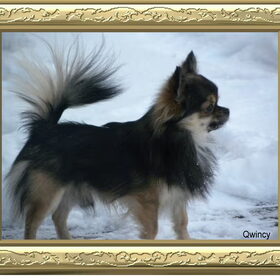 Qwincy als foto model