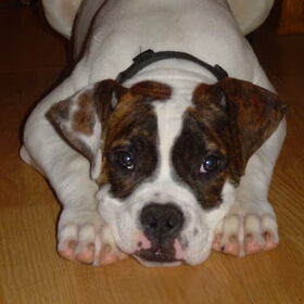 ahhh wat een schat