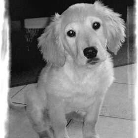Ons fotomodelletje Nina..