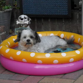 waterpret