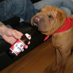 mila haar eerste verjaardag even lekken aan de fles