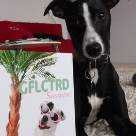 gflctrd!!