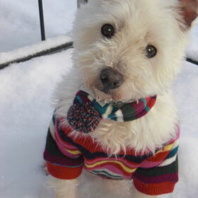 Purdy geniet van sneeuwpret!