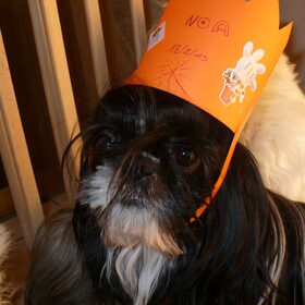 Noa was jarig